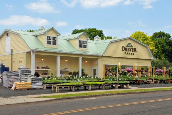 Dreyer Farms