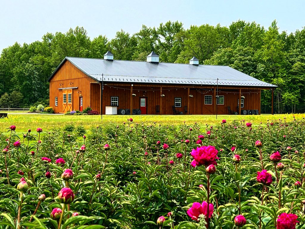 Sunset Flower Farm gallery photo